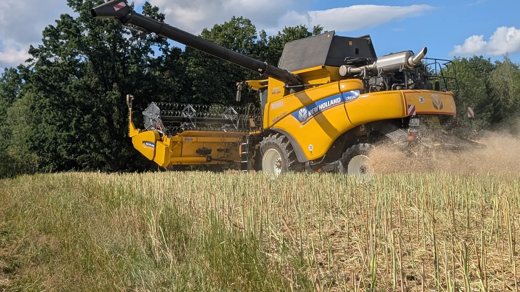 Mähdrescher bei der Getreideernte im Sommer