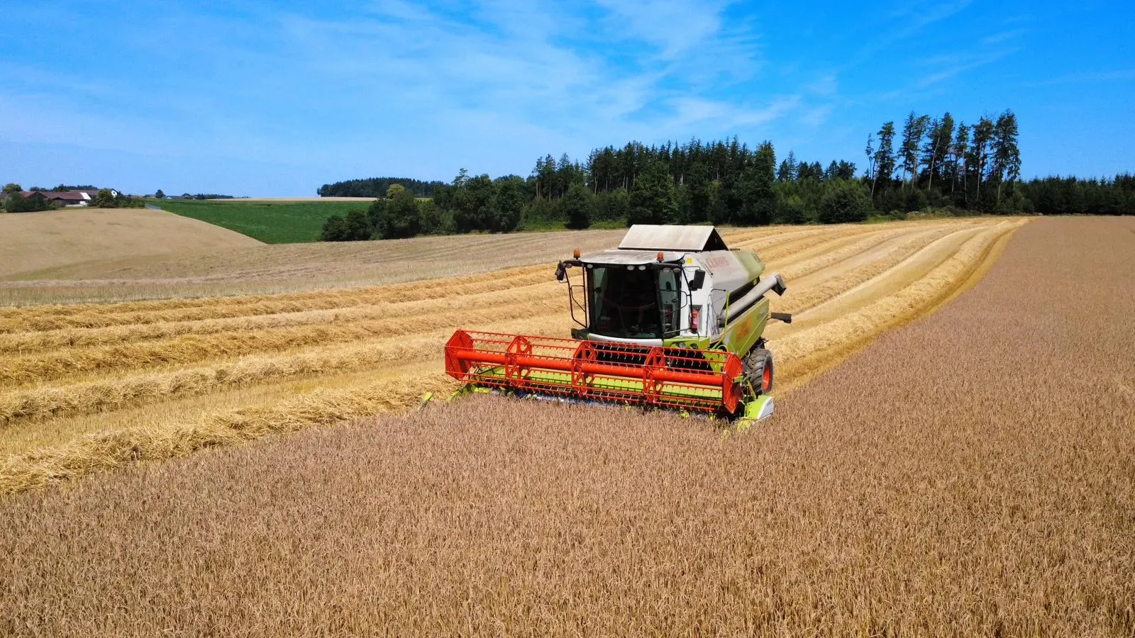 Mähdrescher bei der Ernte auf dem Feld