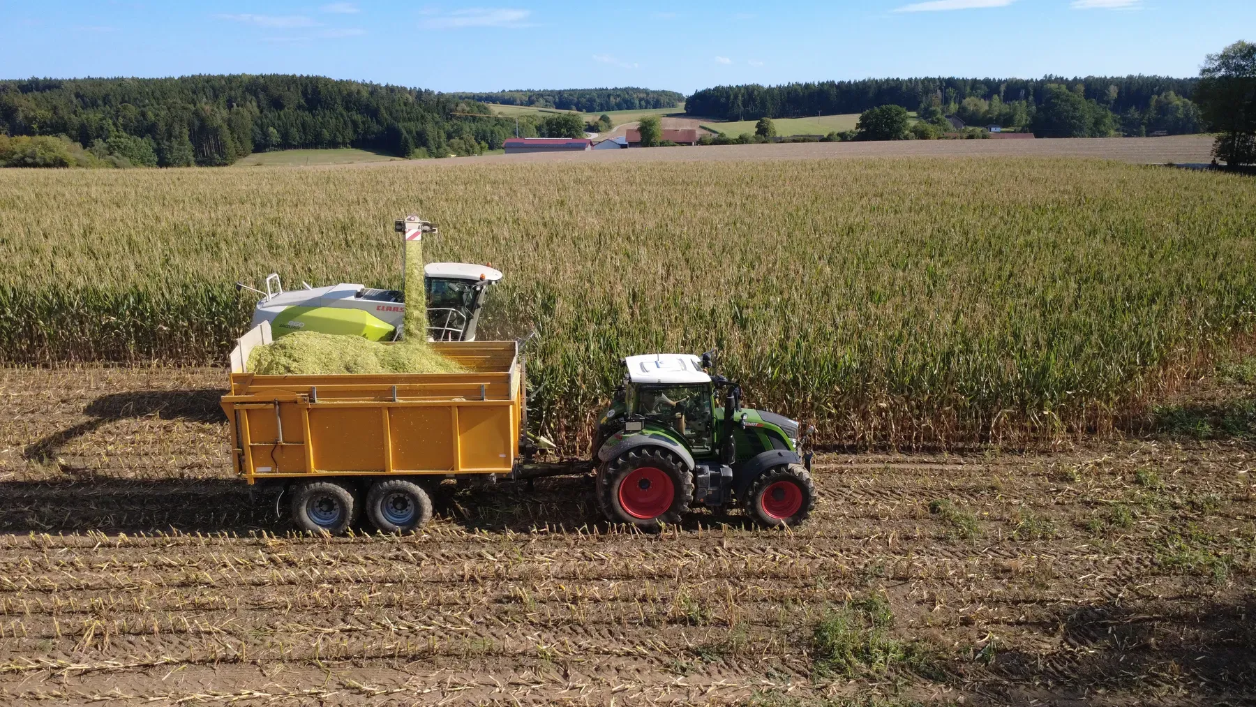 Der Claas Jaguar häckselt Mais und lädt ihn auf einen gelben Anhänger am Feldrand