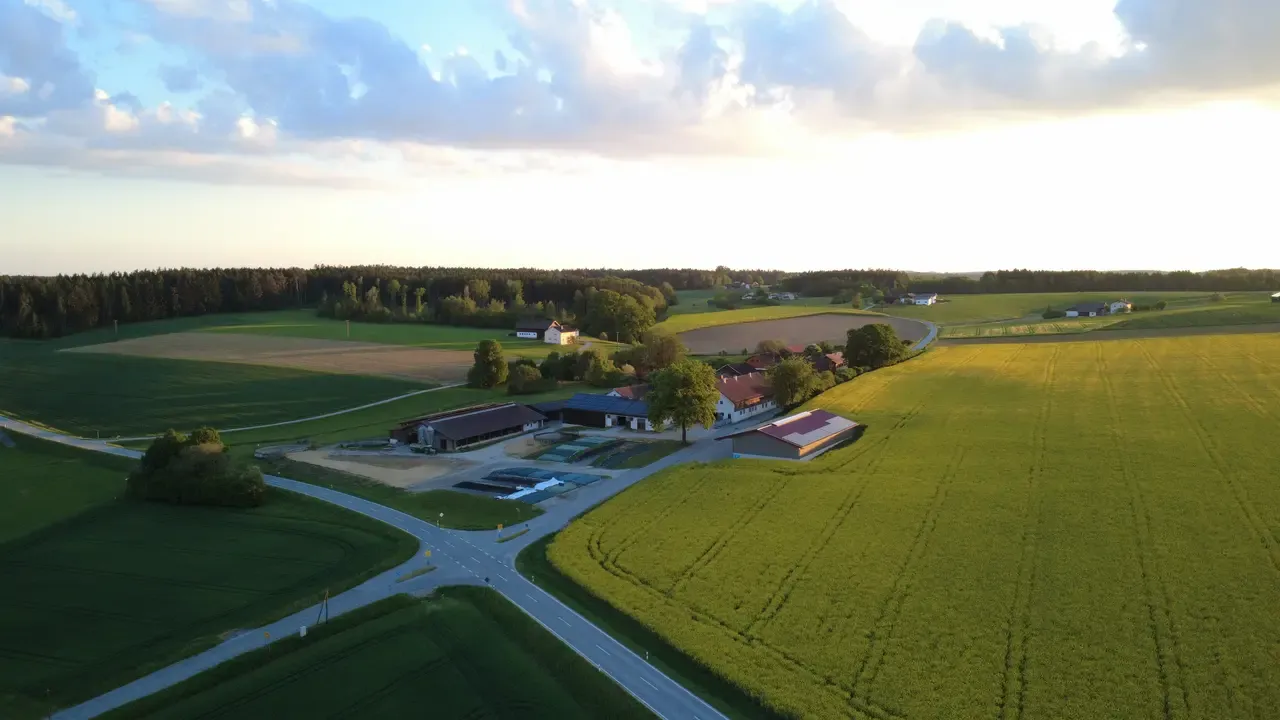 Der Hof im warmen Abendlicht des Herbstes